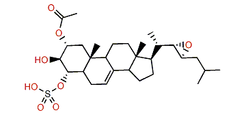 Acanthosterol sulfate H